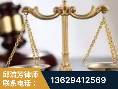 黔南布依族-委托诉讼代理人出庭
